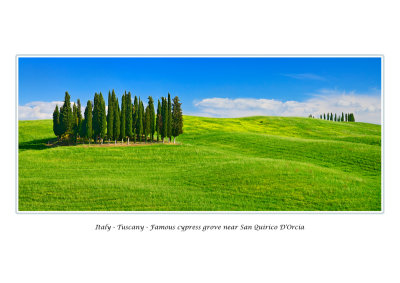  Italy - Tuscany - Famous cypress grove near San Quirico D'Orcia j 