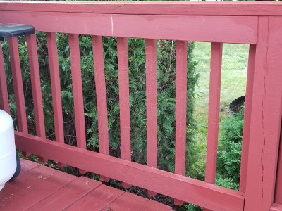 20180903_081638.jpg