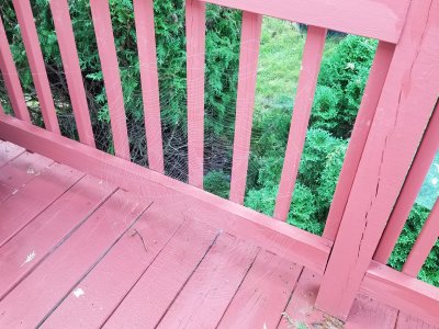 20180903_081654.jpg