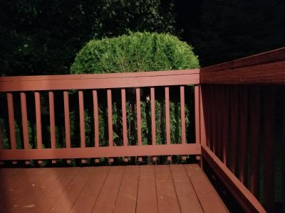 20180904_002903.jpg