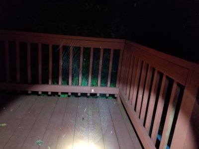 20180904_005039.jpg