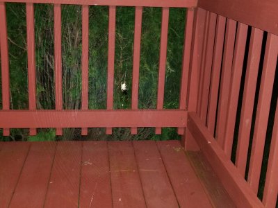20180904_005324.jpg