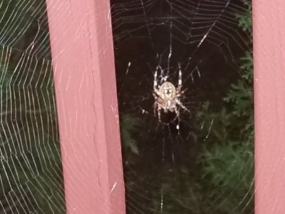 20180904_015341.jpg