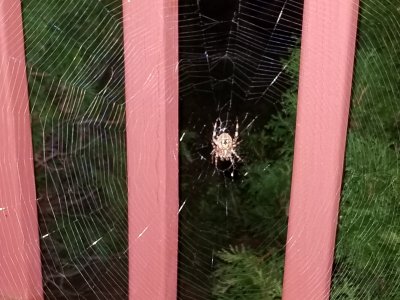 20180904_015400.jpg