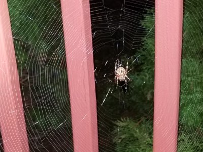 20180904_015428.jpg