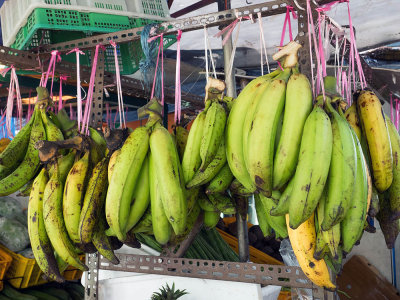 Huge bananas in Indian area