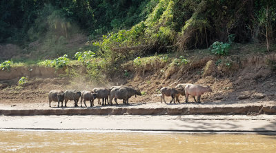 Along Mekong river