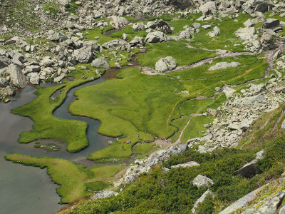 View to the Rhine source