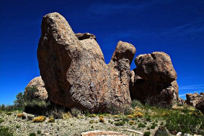 City Of Rocks - NM