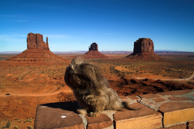 Casey At Monument Valley