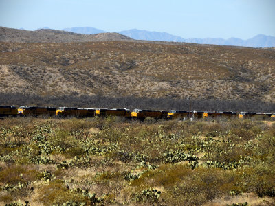Hundreds of locomotives are sitting idle in Southern Arizona