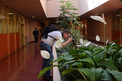 Shooting Tiny Praying Mantis