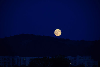 Moonrise