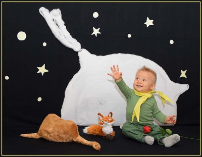 The Little Prince Reaching for the Stars