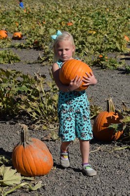 Pumpkin Patch - Oct 2017