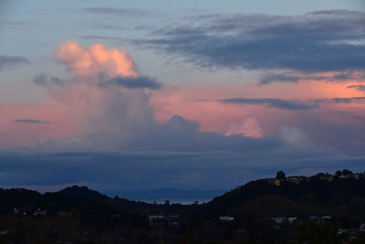Pinks Showing Through Blue with the Bay