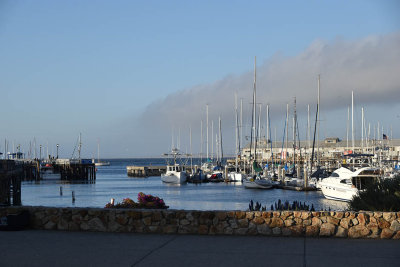 The Monterey Wharf
