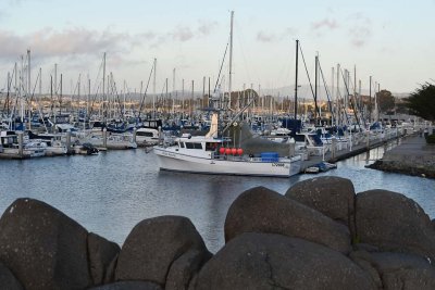 The Marina at Monterey Wharf