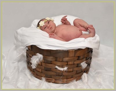 Baby In A Basket