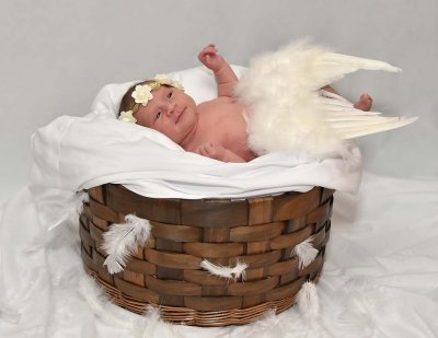 Little Nestling - Newborn Portrait