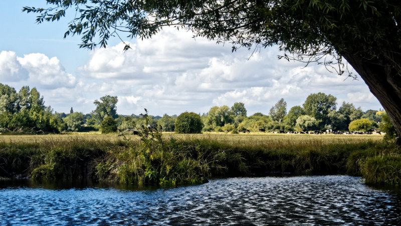 Landscape -1