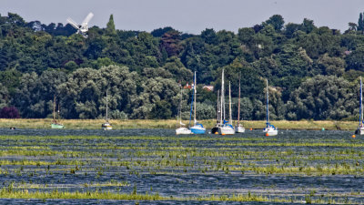 Woodbridge mill and moorings