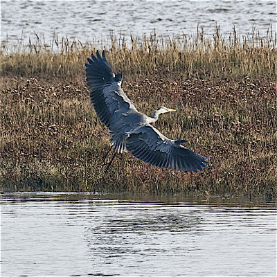 Wingspread