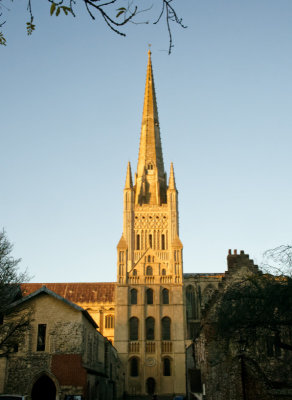 Norwich: cathedral