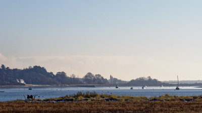 Ramsholt empty moorings