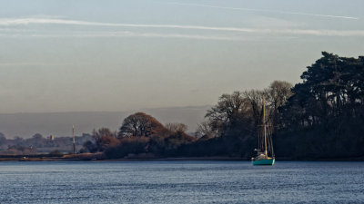 Ramsholt 'cliff' and moorings