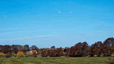 Brightwell Hall farm