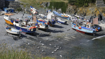 Lizard Peninsula - East coast, creeks and things