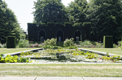 Queen Marys garden
