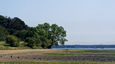 Riverside between Nacton and Levington