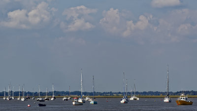 Bawdsey moorings