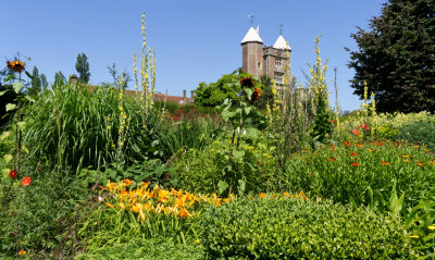 Another section of garden