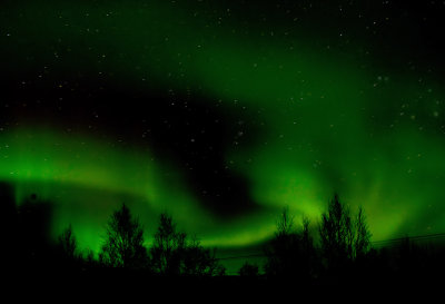 Aurora borealis - PB140236.jpg