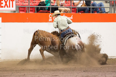 Working Cow Horse Classic