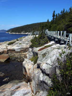 Tadoussac 2018