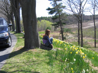 daffyhill.jpg