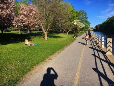Trail along the Rideau Canal