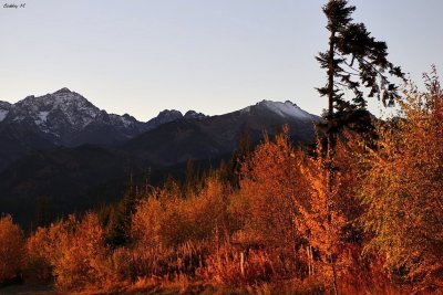 Autumn morning in Tatras