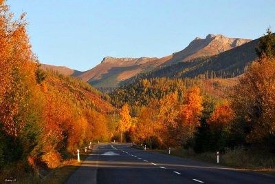 Fall along road 537