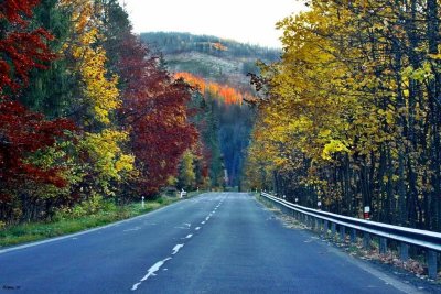 Driving through autumn