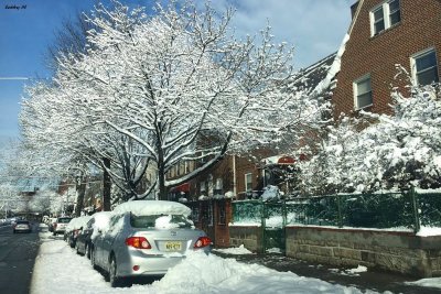 The morning after Nor'easter