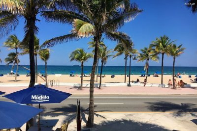 Lunch on the beach