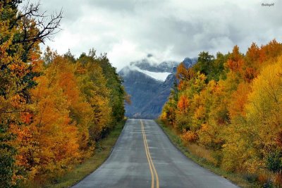 Autumnal Highway