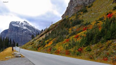 Scenic mountain road