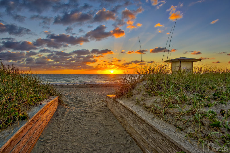 Sunrise on the Beach