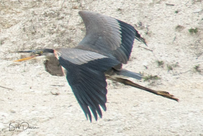 RCD_2480.jpg
